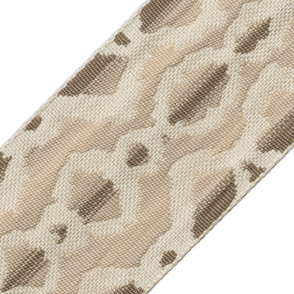 Serpiente Border Trim by Samuel & Sons in Salt