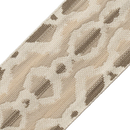 Serpiente Border Trim by Samuel & Sons in Salt