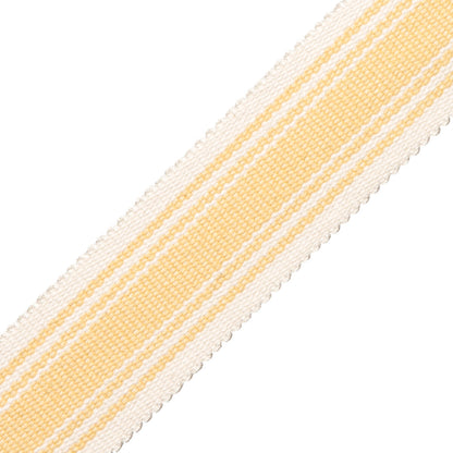 Sorrento Cotton Striped Border Trim by Samuel & Sons in Lemon