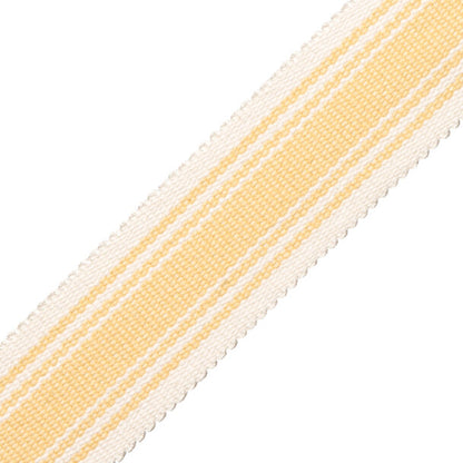 Sorrento Cotton Striped Border Trim by Samuel & Sons in Lemon