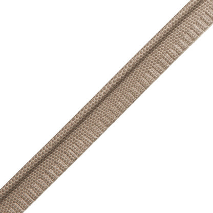Spirito Textured Piping Trim by Samuel & Sons in Stone Taupe