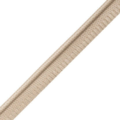 Spirito Textured Piping Trim by Samuel & Sons in Chamois
