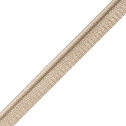Spirito Textured Piping Trim by Samuel & Sons in Chamois