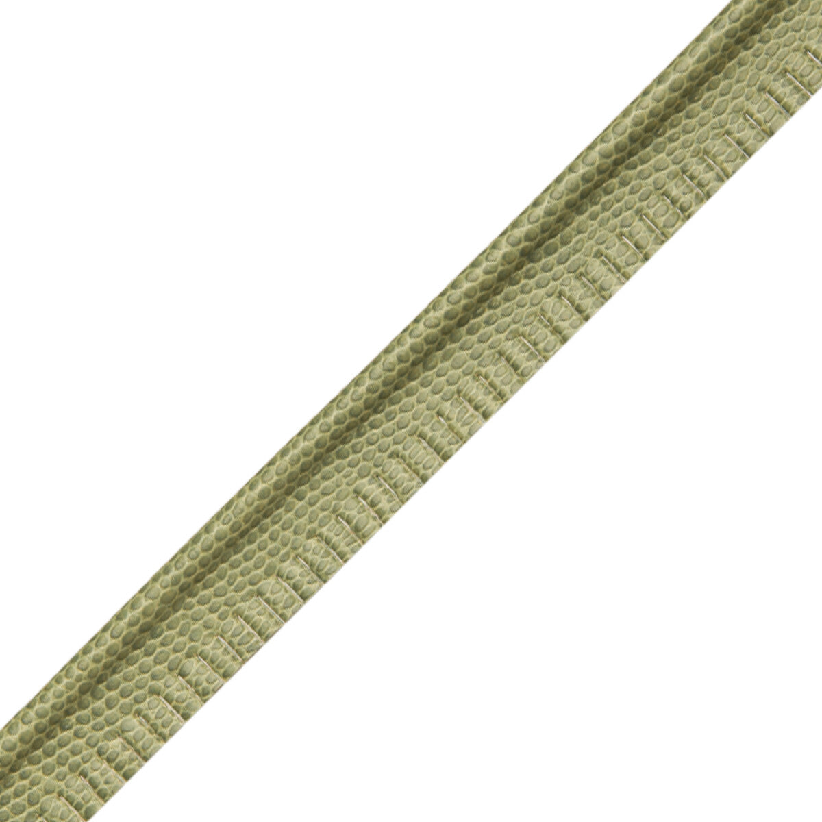 Spirito Textured Piping Trim by Samuel & Sons in Meadow