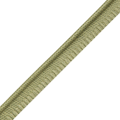 Spirito Textured Piping Trim by Samuel & Sons in Meadow
