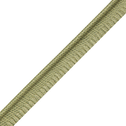 Spirito Textured Piping Trim by Samuel & Sons in Meadow