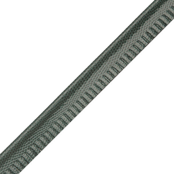 Spirito Textured Piping Trim by Samuel & Sons in Waterfall