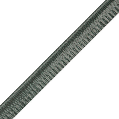 Spirito Textured Piping Trim by Samuel & Sons in Waterfall