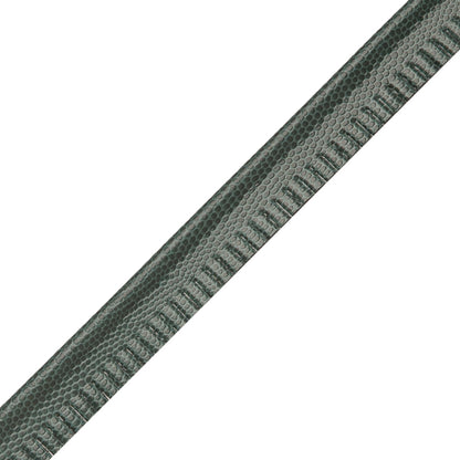 Spirito Textured Piping Trim by Samuel & Sons in Waterfall