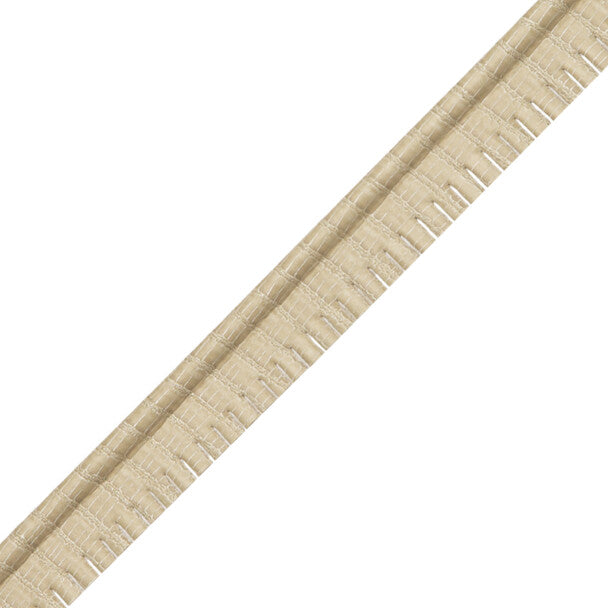 Coccodrillo Piping Trim by Samuel & Sons in Ecru