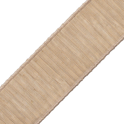 Tarantella Pleated Border Trim by Samuel & Sons in Topaz