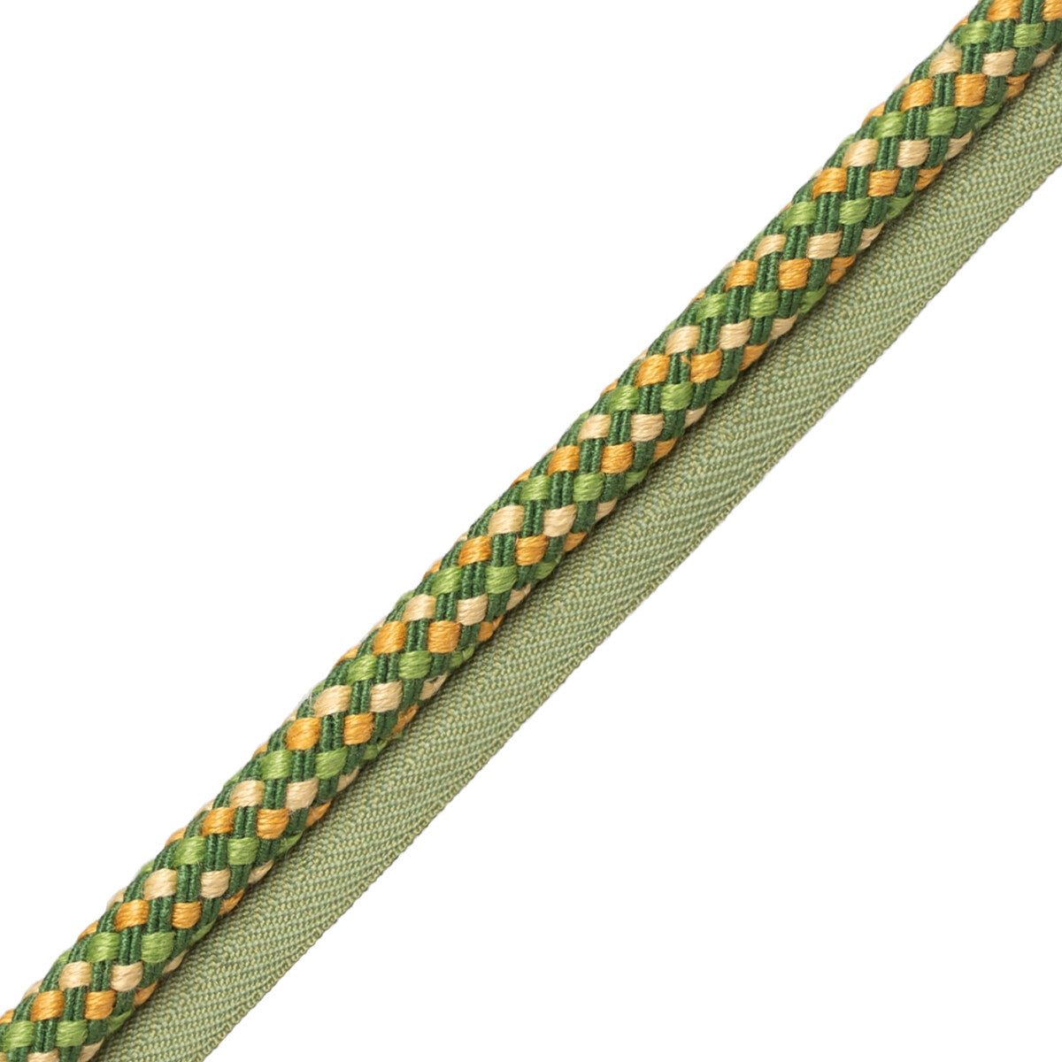 Veranda Linen Cord With Tape Trim by Samuel & Sons in Jonquille