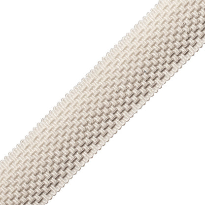 Veranda Ombré Border Trim by Samuel & Sons in Silver Birch