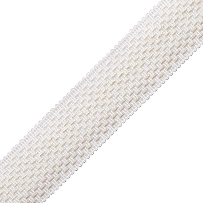 Veranda Ombré Border Trim by Samuel & Sons in Narcisses