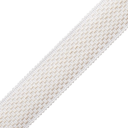 Veranda Ombré Border Trim by Samuel & Sons in Narcisses