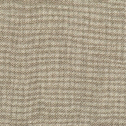 TRH2399 Fabric