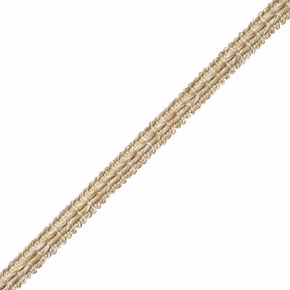 Somerset Strié Gimp Trim by Samuel & Sons in Driftwood
