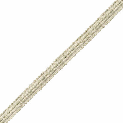 Somerset Strié Gimp Trim by Samuel & Sons in Willow