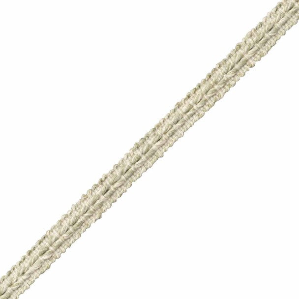 Somerset Strié Gimp Trim by Samuel & Sons in Willow