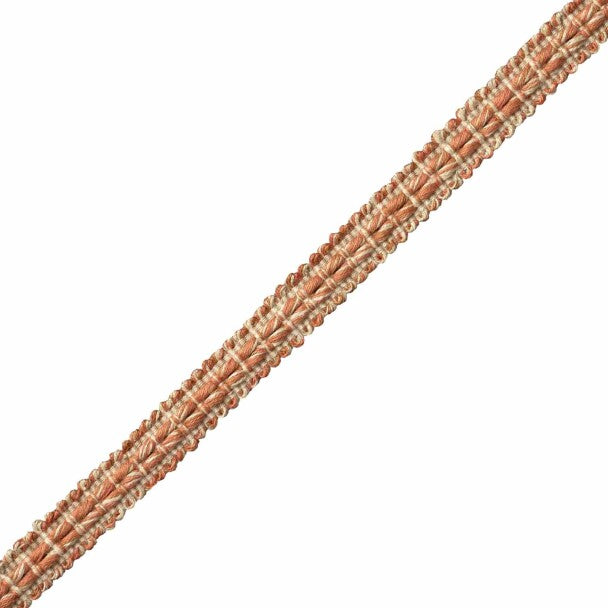 Somerset Strié Gimp Trim by Samuel & Sons in Terra