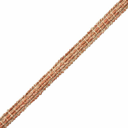 Somerset Strié Gimp Trim by Samuel & Sons in Terra