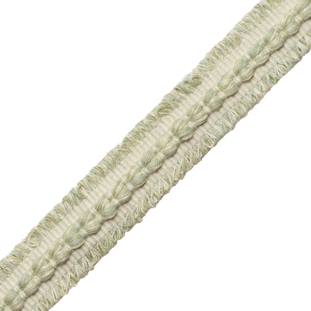 Somerset Strié Braid Trim by Samuel & Sons in Willow