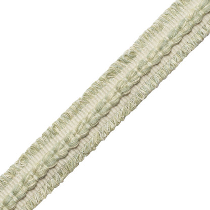 Somerset Strié Braid Trim by Samuel & Sons in Willow