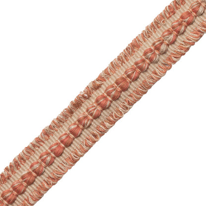 Somerset Strié Braid Trim by Samuel & Sons in Terra