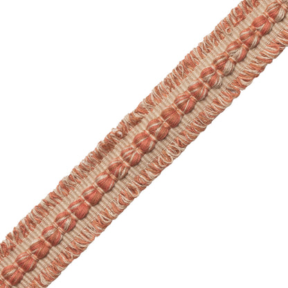 Somerset Strié Braid Trim by Samuel & Sons in Terra