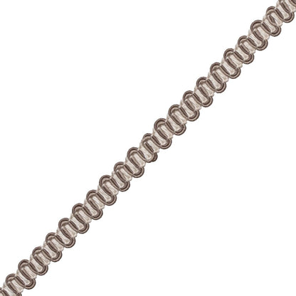 Tiverton Gimp Trim by Samuel & Sons in Charcoal