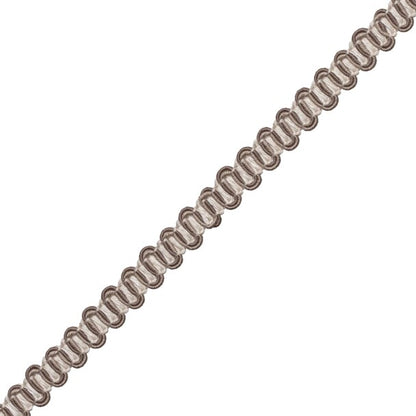 Tiverton Gimp Trim by Samuel & Sons in Charcoal