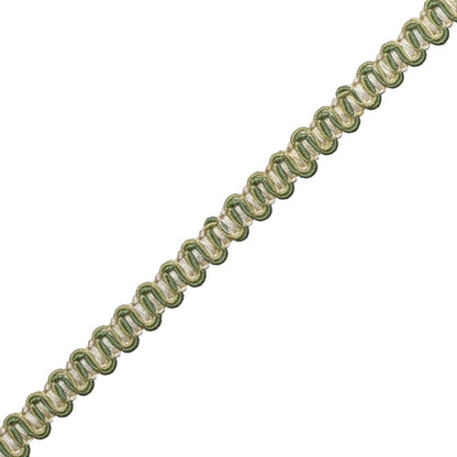 Tiverton Gimp Trim by Samuel & Sons in Fern