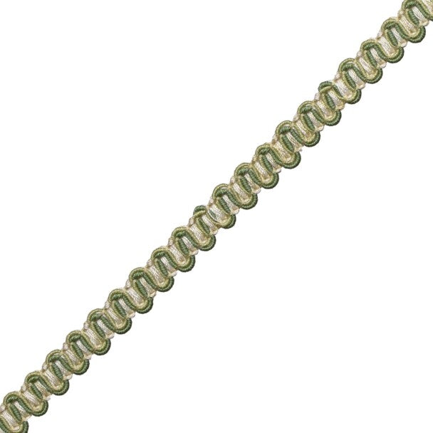 Tiverton Gimp Trim by Samuel & Sons in Fern