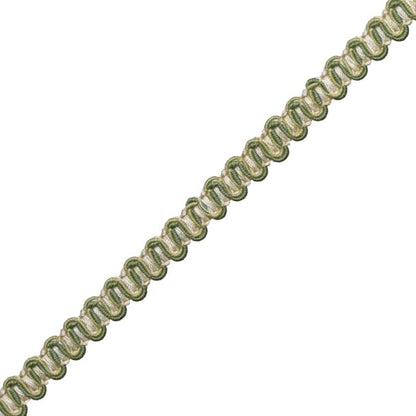 Tiverton Gimp Trim by Samuel & Sons in Fern