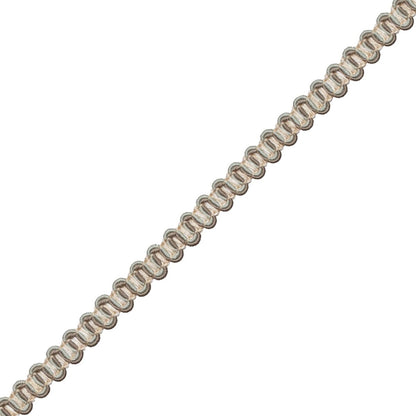 Tiverton Gimp Trim by Samuel & Sons in Ash
