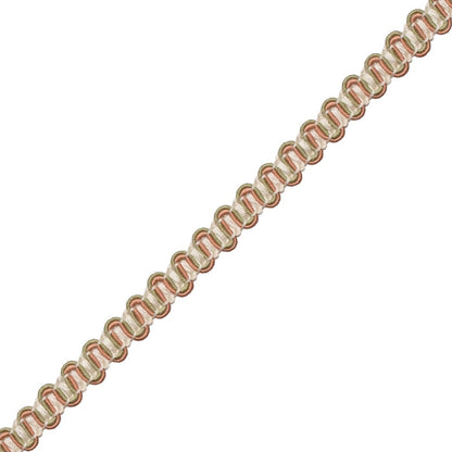 Tiverton Gimp Trim by Samuel & Sons in Rosewater