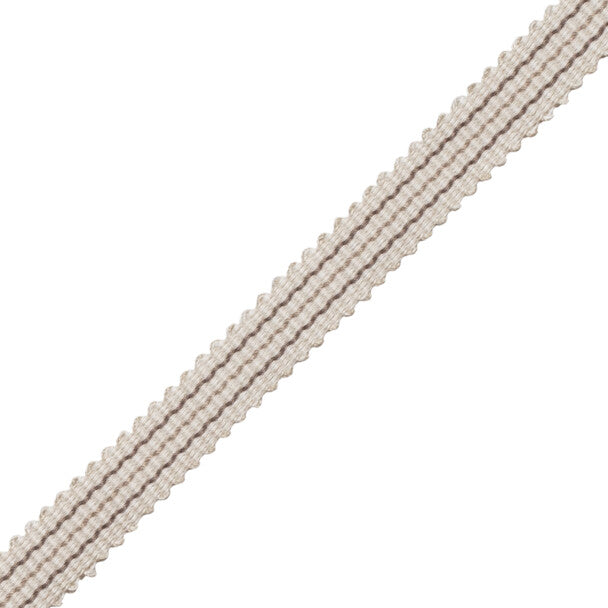 Tiverton Striped Gimp Trim by Samuel & Sons in Charcoal