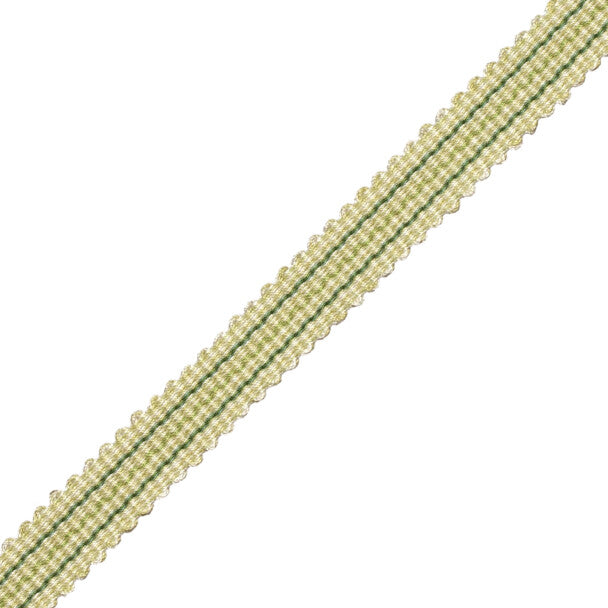 Tiverton Striped Gimp Trim by Samuel & Sons in Fern