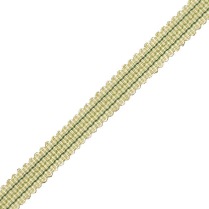Tiverton Striped Gimp Trim by Samuel & Sons in Fern