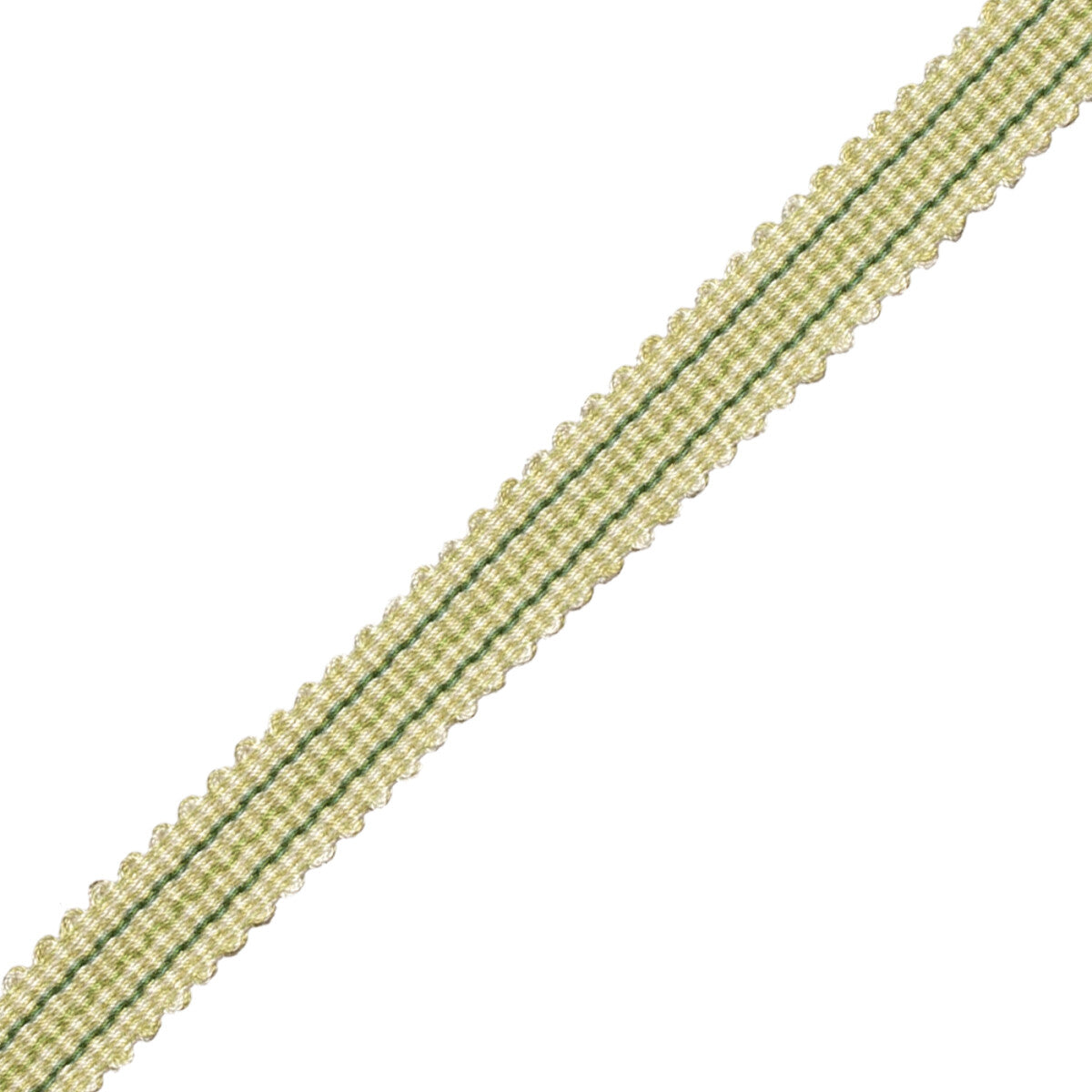 Tiverton Striped Gimp Trim by Samuel & Sons in Fern