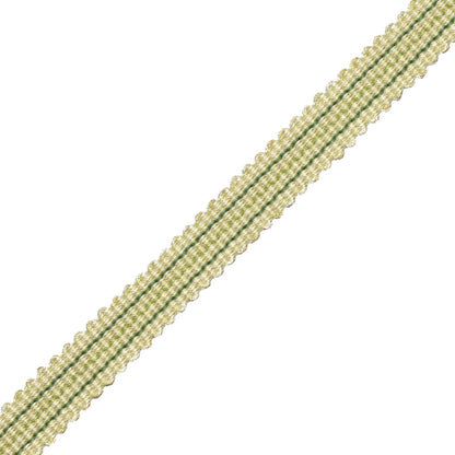 Tiverton Striped Gimp Trim by Samuel & Sons in Fern