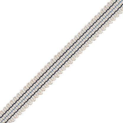 Tiverton Striped Gimp Trim by Samuel & Sons in Marine