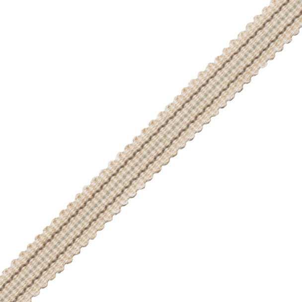 Tiverton Striped Gimp Trim by Samuel & Sons in Ash