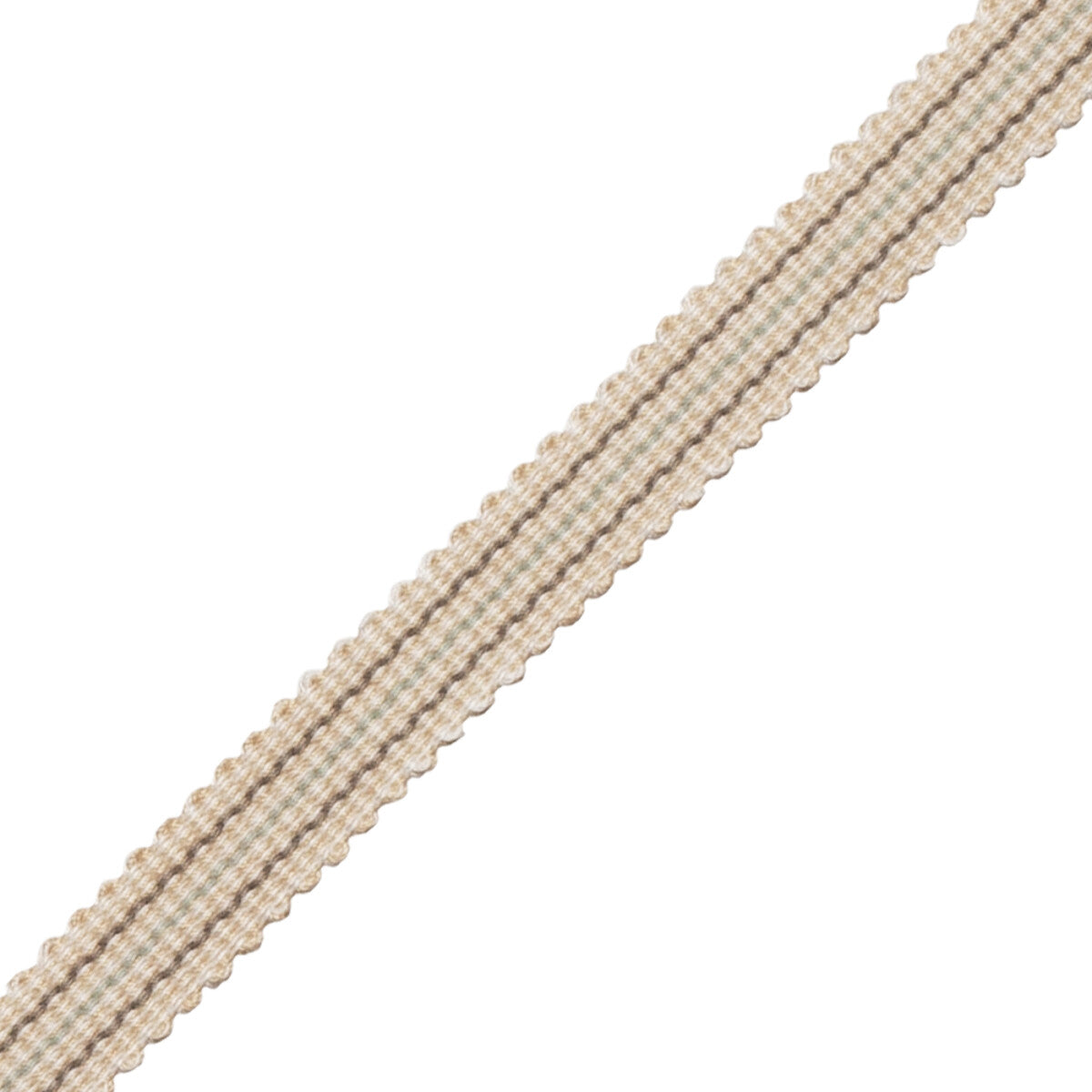 Tiverton Striped Gimp Trim by Samuel & Sons in Ash