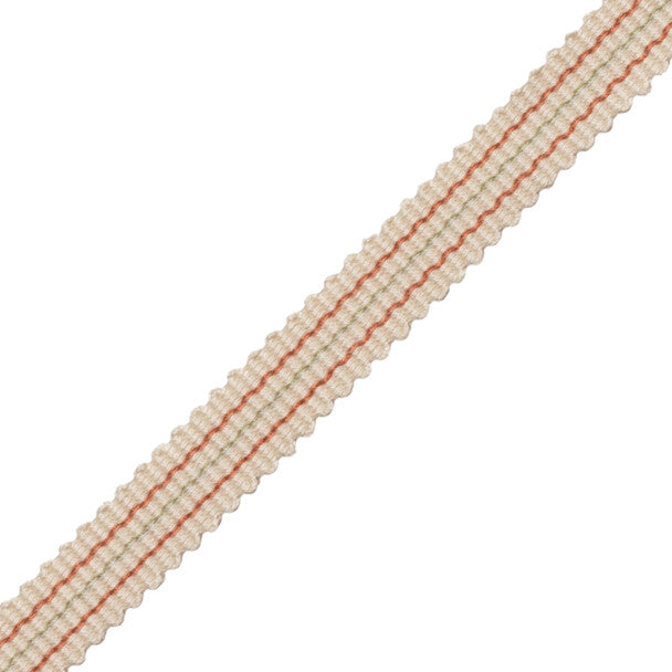 Tiverton Striped Gimp Trim by Samuel & Sons in Rosewater