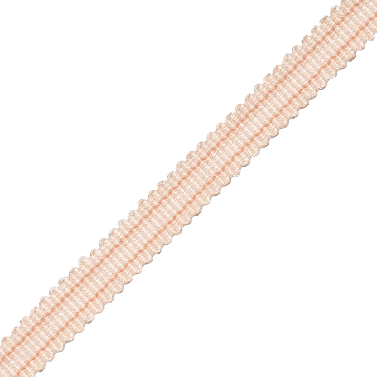 Tiverton Striped Gimp Trim by Samuel & Sons in Shell