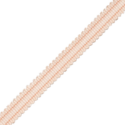 Tiverton Striped Gimp Trim by Samuel & Sons in Shell