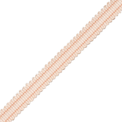 Tiverton Striped Gimp Trim by Samuel & Sons in Shell
