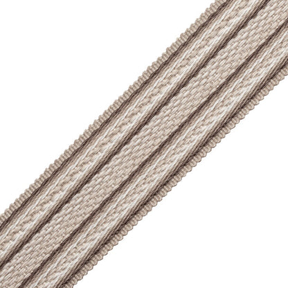 1.7" (43 Mm) Tiverton Border Trim by Samuel & Sons in Charcoal