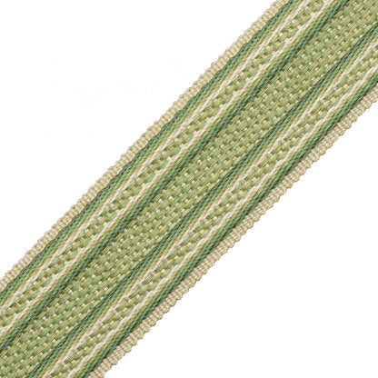 1.7" (43 Mm) Tiverton Border Trim by Samuel & Sons in Fern